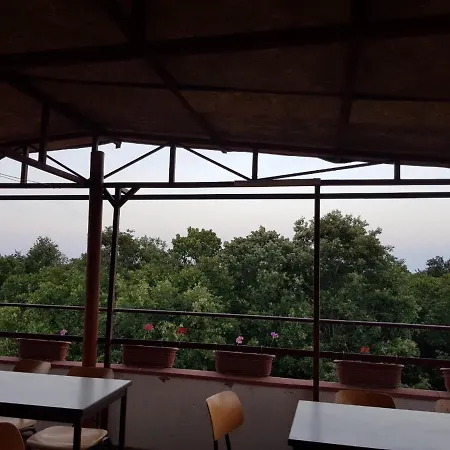 Rose Guest house Primorsko