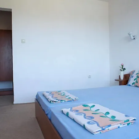 Rose Guest house