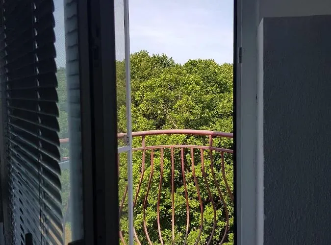 Rose بريمورسكو