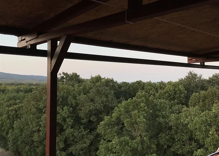 Rose بيت ضيافة