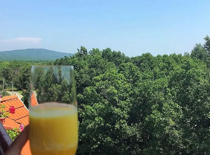 Rose بيت ضيافة بريمورسكو