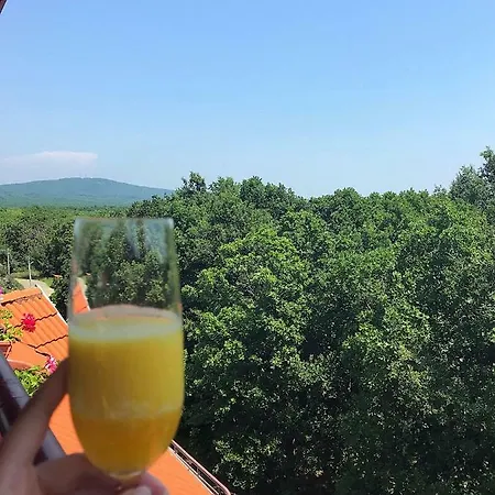 Rose Vendégház Primorszko