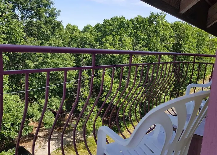 Rose 프리모르스코