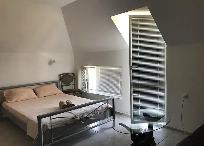 Rose 게스트하우스 프리모르스코