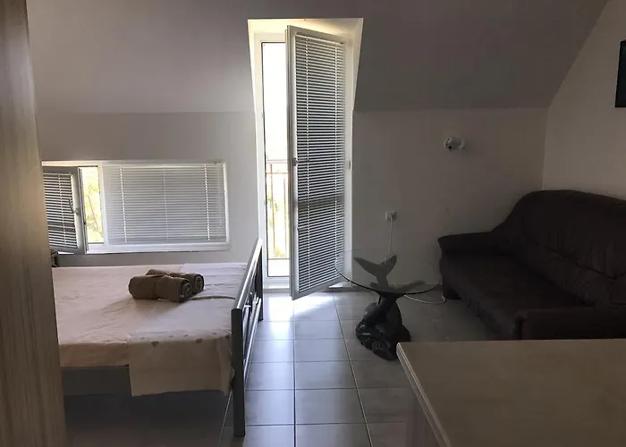 Rose 3* 프리모르스코